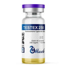 Testosterona Cipionato 250mg/ml (10ml) - MUSCLE PHARMA